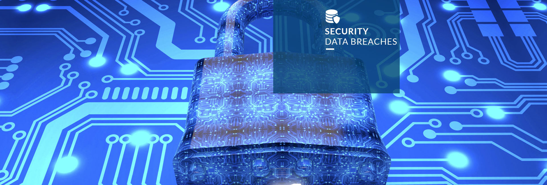 Data Breach Security Insurance